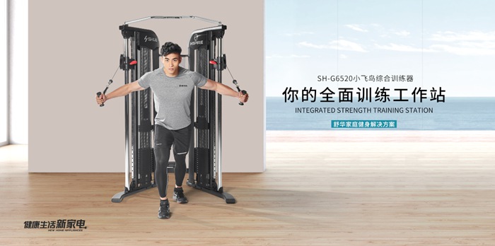 jiuyou.com健身器材-小飞鸟综合训练器SH-G6520 jiuyou.com健身器材-小飞鸟综合训练器SH-G6520